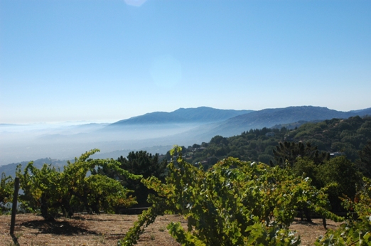 Santa Cruz Mountains California S Best Kept Secret Jul 2013 Vinous Explore All Things Wine