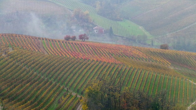 Brunello di Montalcino “Riserva”, Biondi-Santi, Tuscany, IT, 2011 -  Michael's Wine Cellar