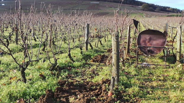 2014 Burgundy Vintage Chart