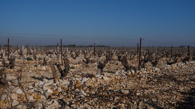 15 Chateauneuf Du Pape Power And Balance Mar 17 Vinous Explore All Things Wine