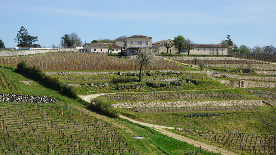 2016 Bordeaux: It's Now or Never, Baby (Apr 2017) | Vinous - Explore All  Things Wine