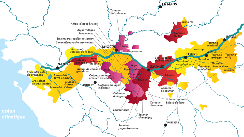 Loire Red Wine Vintage Chart