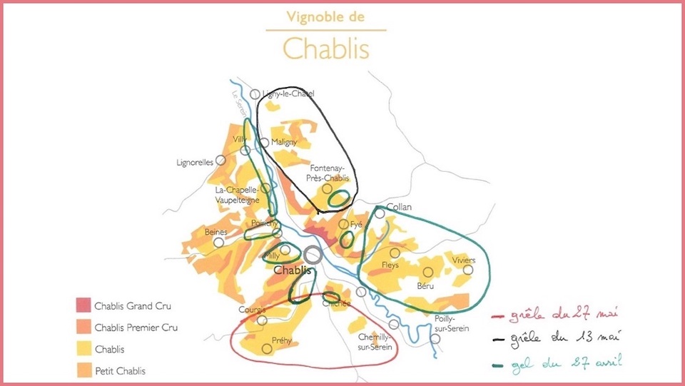 Chablis Vintage Chart