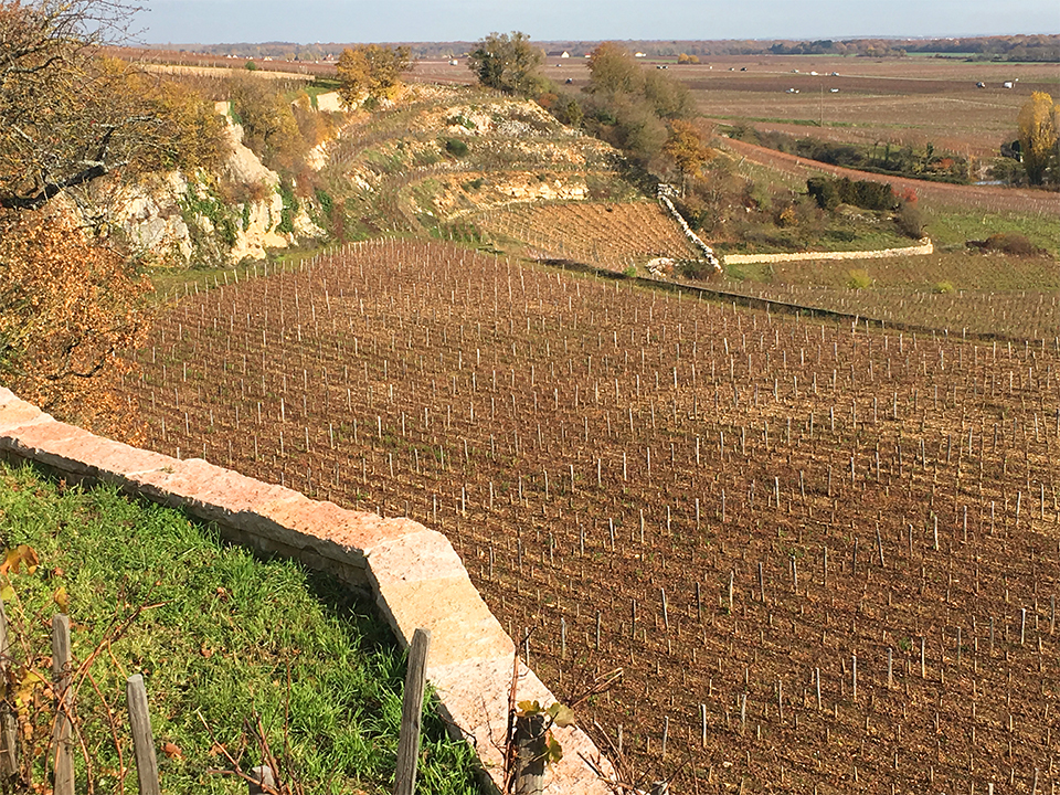 Burgundy Vintage Chart 2016