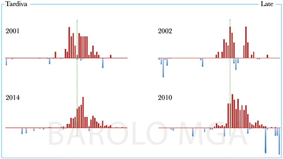 Barolo Vintage Chart