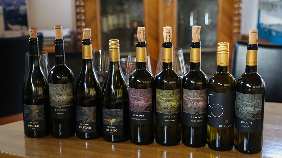 opnåelige Voksen Først Trentino: New Releases (Jan 2019) | Vinous - Explore All Things Wine