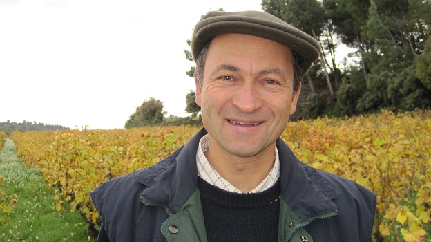 Châteauneuf du Pape: The Lively 2013s and Lush 2012s (Apr 2015 ...