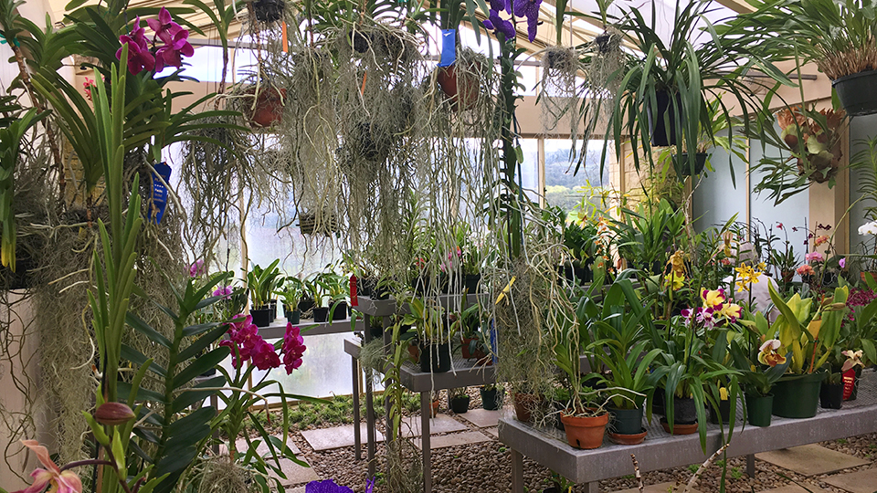 O’Shaughnessy Sauvignon Estate Howell Mountain 20002015 (Apr