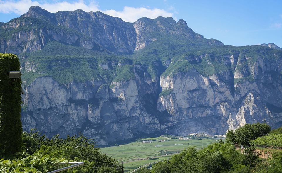 The Wines of Alto Adige (Dec 2018) | Vinous - Explore All Things Wine